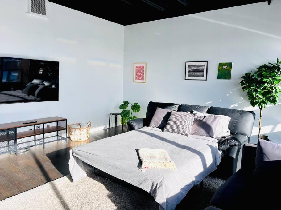 Sunny Penthouse On 17Th Ave, 1 Bedroom, 1 Loft Bed With Ladder, 1 Sofa Bed, Sleeps 6, Downtown Calgary Luaran gambar